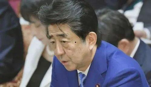 安倍爆料最新消息视频,揭秘最新消息背后的惊人真相